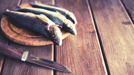 Banner catch of fresh sea fish lies on a cutting Board on a wooden table in the kitchen. Selective focus copy spaceの写真素材