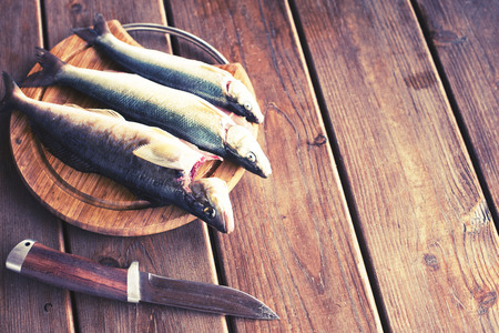 The catch of fresh sea fish lies on a cutting Board on a wooden table in the kitchen. Selective focus copy spaceの写真素材