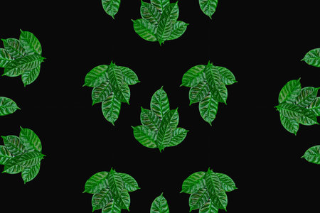 seamless green leaves pattern on black background. Top view flat lay ornament