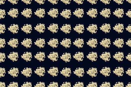 Floral pattern of a series of chrysanthemums on a black background Top view flat layの写真素材