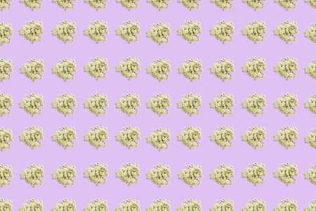 Floral pattern of a series of chrysanthemums on a pink background Top view flat lay