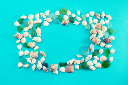 Different sea shells on blue background. Top view flat lay