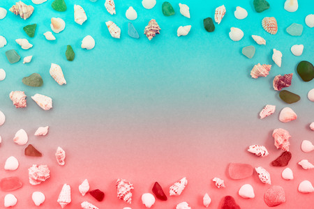 Different sea shells on live coral background. Top view flat layの写真素材