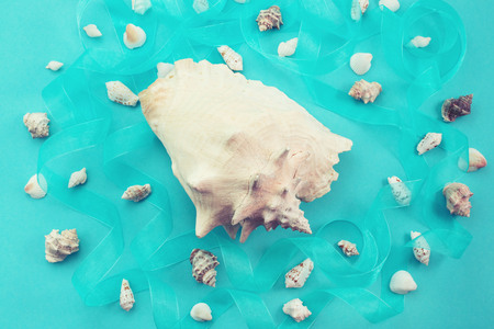 Different sea shells on blue background. Top view flat layの写真素材