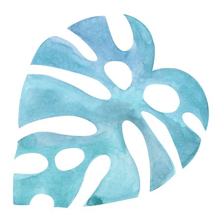 Boho Tropical leaf blue Watercolor hand painted natural dried element on a white backgroundの写真素材