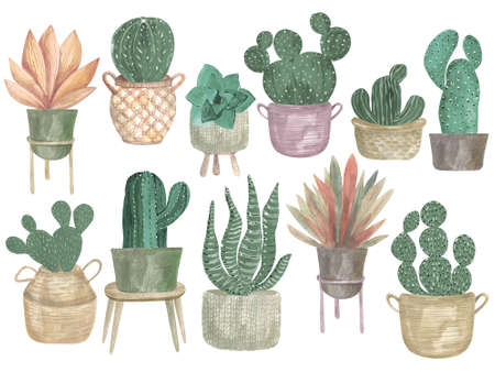 Watercolor illustration of a collection of cacti in pots Boho decor modern indoor plantsの写真素材
