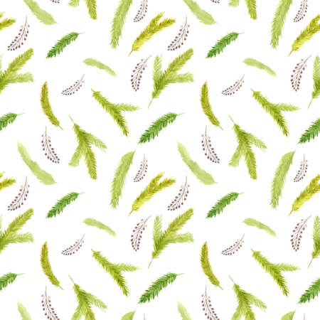Christmas tree branches seamless pattern on white background Watercolor illustration winter Wallpaper digital paper packの写真素材