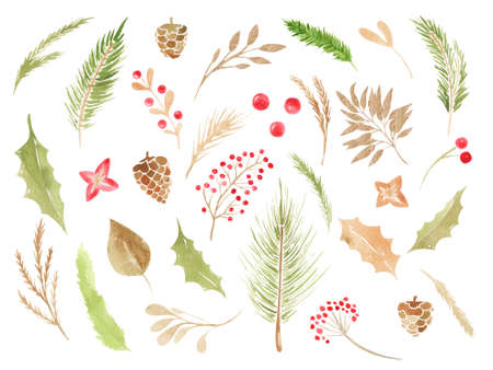 Christmas boho clipart. Watercolor winter floral set Holiday branches, leaves, cones, berries, coniferous branches, leaves elements. Xmas clip artの写真素材