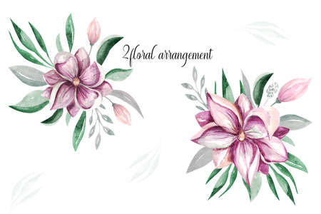 Spring Magnolia Flowers clipart Delicate floral bouquet of magnolia on a white backgroundの写真素材