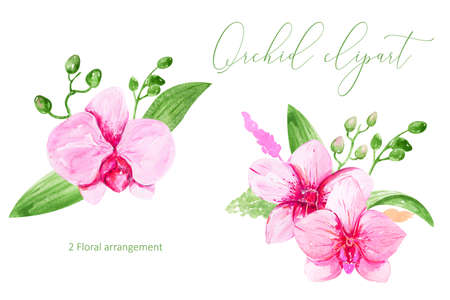 Pink Orchid clipart Watercolor hand-painted tropical flower for Greeting Cards, Invitation Cards, Cardsの写真素材