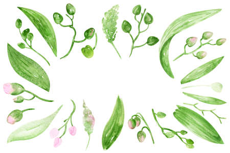 Banner Greenery Orchids collection Watercolor hand-painted tropical flower for Greeting Cards, Invitation Cards, Cardsの写真素材