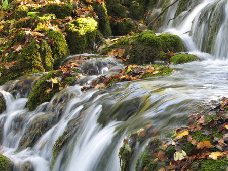 Little cascades hidden in woods on Plitvice lakes, Croatia