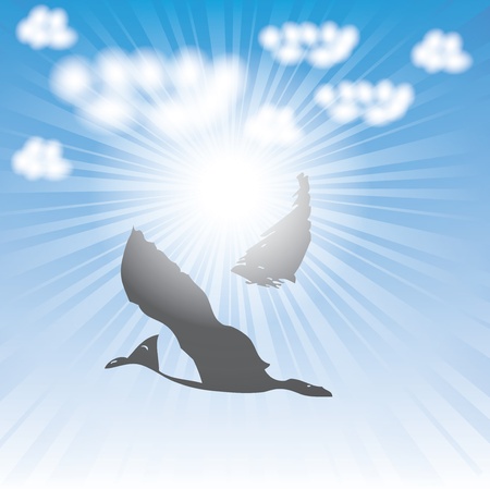Sun and clouds design elements with bubblesのイラスト素材