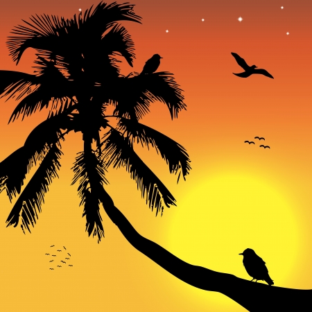 Tropical sunset with birds and palmのイラスト素材