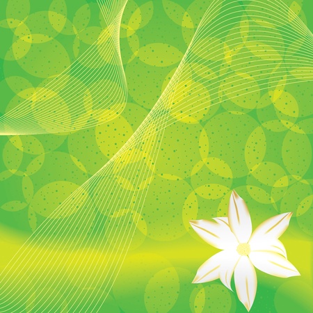Abstract floral green backgroundのイラスト素材