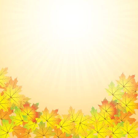 Autumn abstract background with leafのイラスト素材