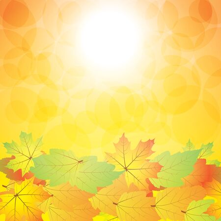 Autumn abstract background with leafのイラスト素材