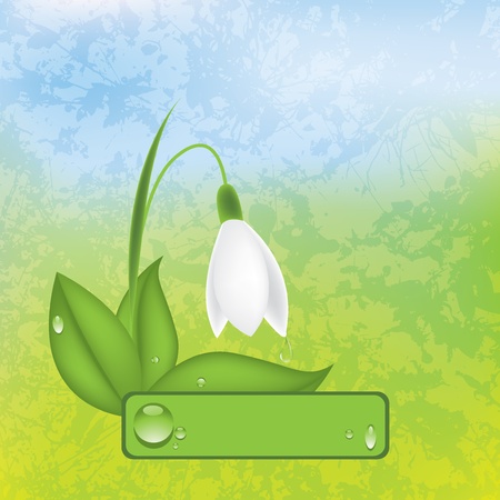 Vector grunge spring background with snowdropのイラスト素材