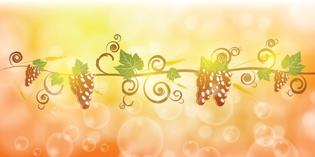 Ripe grape fruit and corn illustration のイラスト素材