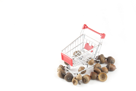 A red shopping cart and acorns. On a white background. の写真素材