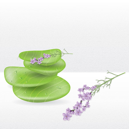 Realistic spa jade stones with lavender herbal plant のイラスト素材