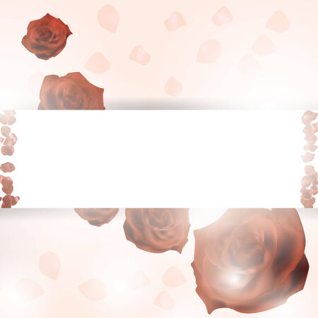 Red petals on a white background. Abstract frame with place for text  のイラスト素材