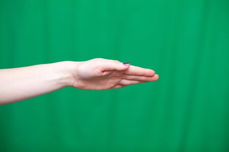 Female hand palm on a green backgroundの写真素材