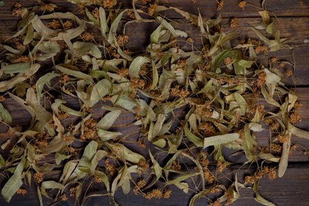 The flowers of linden tree on wooden backgroundの写真素材