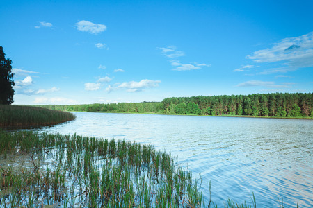 Beautiful summer landscape. Lakes with a green forest and a blue sky with white clouds. Nature in summer.の写真素材