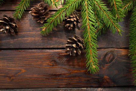 Green living spruce branches on a dark wooden background. New Year's background with cones. Top view.の写真素材