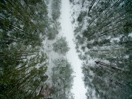 Winter forest and road. View from above. The photo was taken with a drone. Pine and spruce forest with a road in the snow.の写真素材