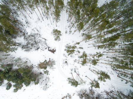 Winter landscape on road in a green forest. Drone view photo on a cloudy day. Aerial top view beautiful snowy landscape.の写真素材