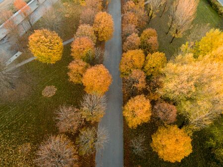 Landscape city park in a beautiful autumn day. View from above on trees with red and yellow leaves and track. Autumn photography with bird's eye view. Top viewの写真素材