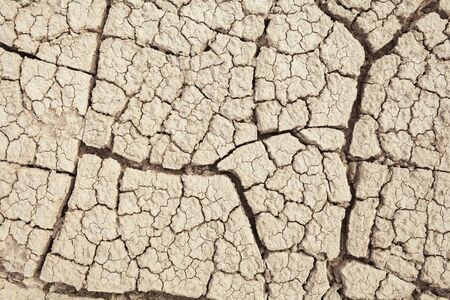 Cracks in the earth in rural areas. Ground texture background. Dry soil abstract photo. Mosaic patternの写真素材