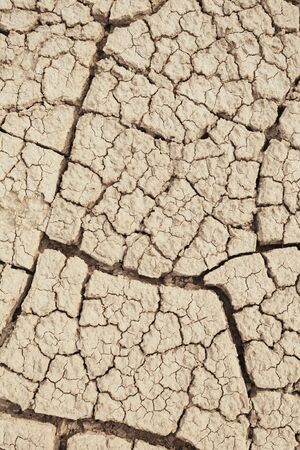 Cracks in the earth in rural areas. Ground texture background. Dry soil abstract photo. Mosaic patternの写真素材
