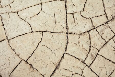 Cracks in the earth in rural areas. Ground texture background. Dry soil abstract photo. Mosaic patternの写真素材