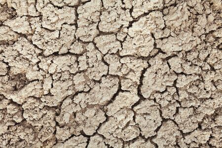 Cracks in the earth in rural areas. Ground texture background. Dry soil abstract photo. Mosaic patternの写真素材