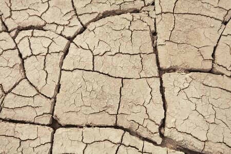Cracks in the earth in rural areas. Ground texture background. Dry soil abstract photo. Mosaic patternの写真素材