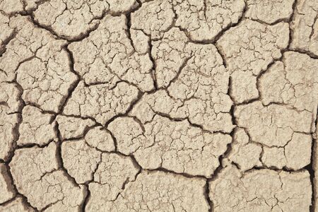 Cracks in the earth in rural areas. Ground texture background. Dry soil abstract photo. Mosaic patternの写真素材