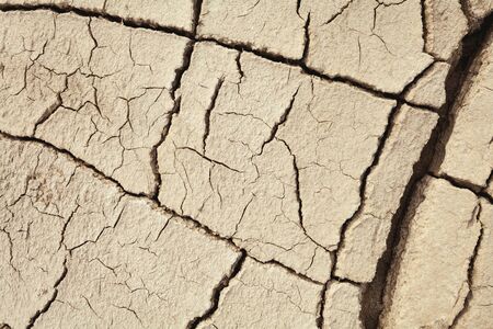 Cracks in the earth in rural areas. Ground texture background. Dry soil abstract photo. Mosaic patternの写真素材