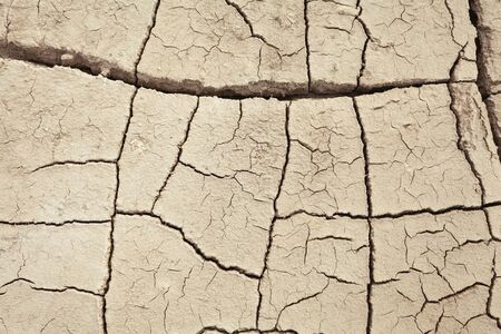 Cracks in the earth in rural areas. Ground texture background. Dry soil abstract photo. Mosaic patternの写真素材