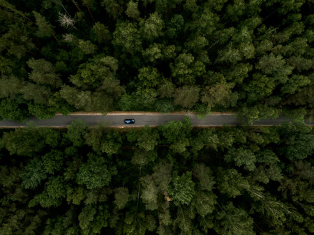Asphalt road with car through the green forest. Summer landscape. Top view. Drone photo.
