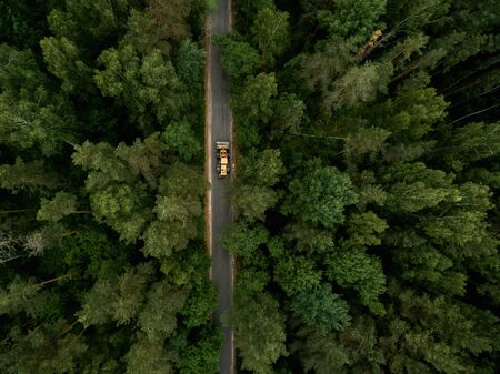 Asphalt road with a tractor through a green forest. Summer landscape. Top view. Drone photo.の写真素材