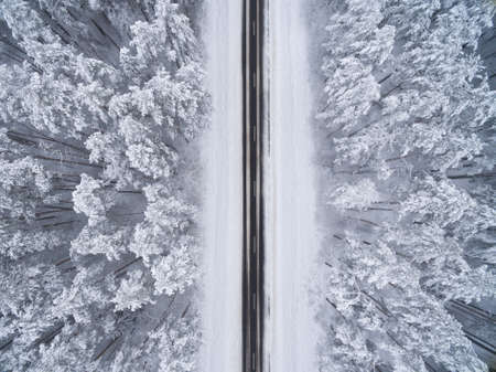 Winter coniferous snowy forest with a black asphalt road. Nature photography. Landscape top view from a bird's eye viewの写真素材