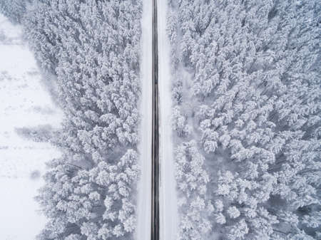 Winter coniferous snowy forest with a black asphalt road. Nature photography. Landscape top view from a bird's eye viewの写真素材