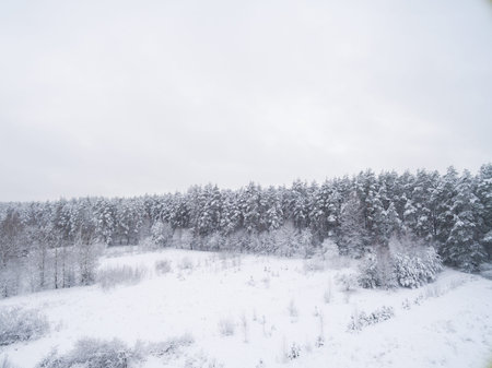 Winter coniferous snowy forest. Nature photography. Landscape side view.の写真素材