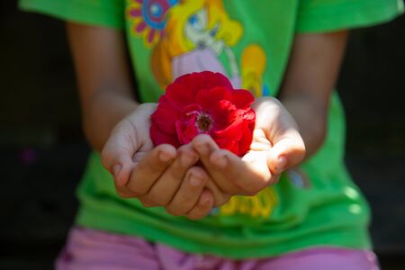 girl holding red rose in her handの写真素材