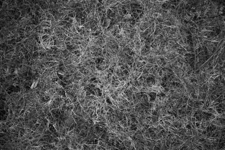 black background in the middle light spotの写真素材