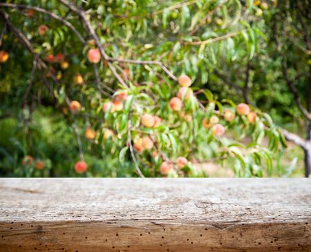 wooden empty table on the background of a blurred forest garden parkの写真素材