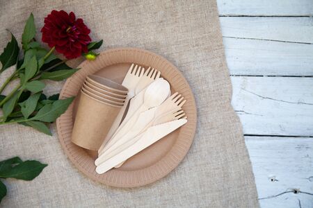 Eco-friendly disposable tableware, paper tableware. dishes for a picnic and camping, dishes, zero plastic, planet preservation, stop plasticの写真素材